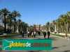 Passeig Lluís Companys