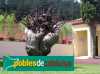 Escultura Viva