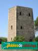 Vila-seca - Torre de Mas Carboners Albert Esteves 2008