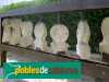 Esteles funeràries (la Guàrdia Pilosa)