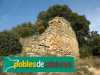 Ruïnes del castell de Saladern