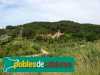 Castellbisbal - Casal de Benviure
