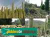 Jardí botànic Pinya de Rosa