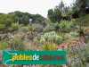 Blanes - Jardí Botànic Mar i Murtra