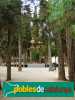Sitges - Parc de Terramar - PdC 2006