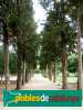 Sitges - Parc de Terramar - PdC 2006