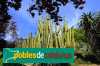 Jardí botànic Pinya de Rosa