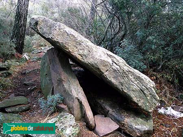 El dolmen, abans de la seva restauració del 2007