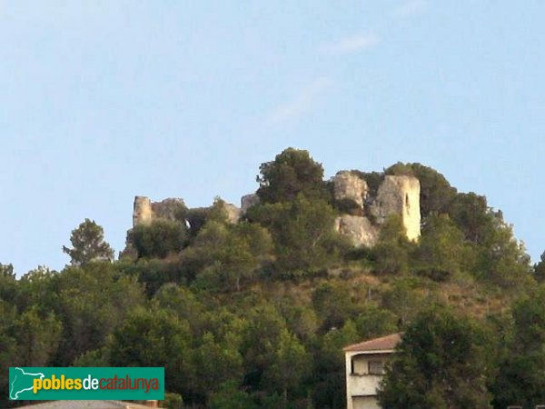 Riera de Gaià - Castell de Montoliu