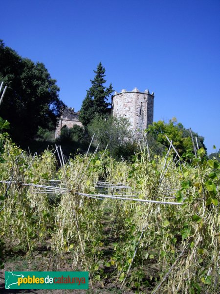 Castellar del Vallès - Castell de Clasquerí, sud
