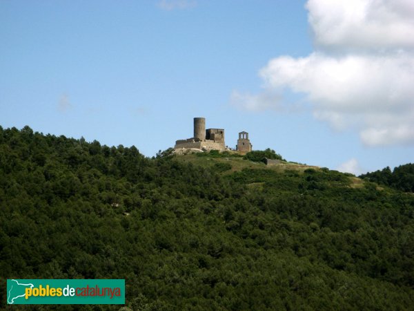 Sant Pere Sallavinera - Castell de Boixadors i església