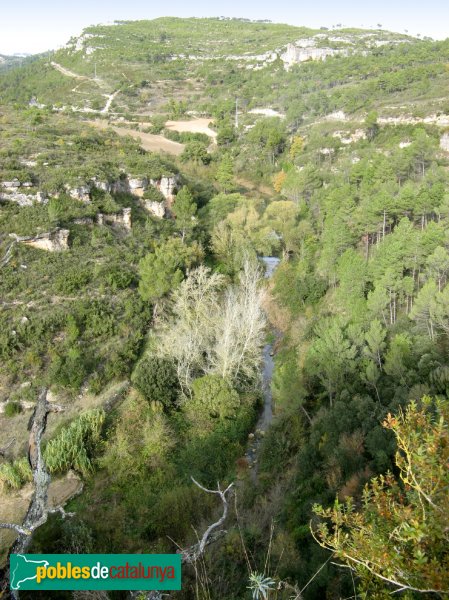 Pontils - El Gaià des del castell de Santa Perpètua