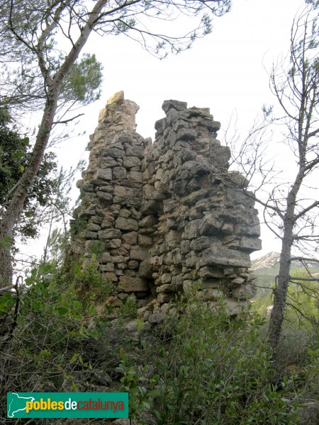 Pontils - Castell de Vallespinosa