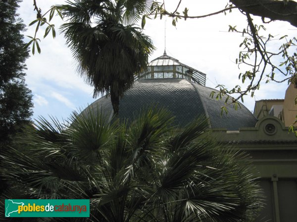 Terrassa - Magatzem Pasqual Sala, cúpula
