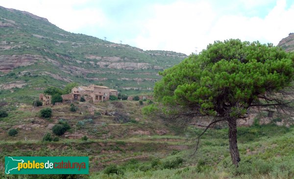 Sant Llorenç Savall - Masia d'Agramunt i un dels pocs pins que hi ha als voltants