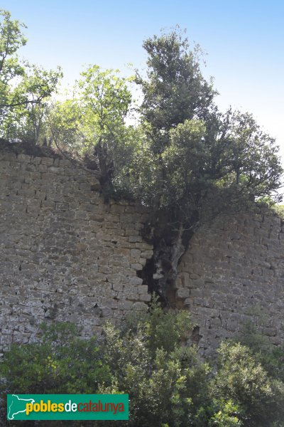 Susqueda - Castell de Fornils