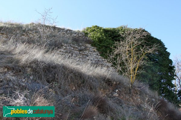 Ribera d'Ondara - Ruïnes del castell de Rubinat