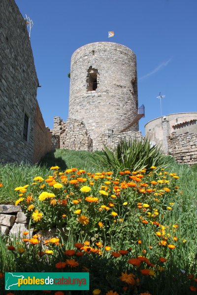 Montoliu - Castell de l'Ametlla