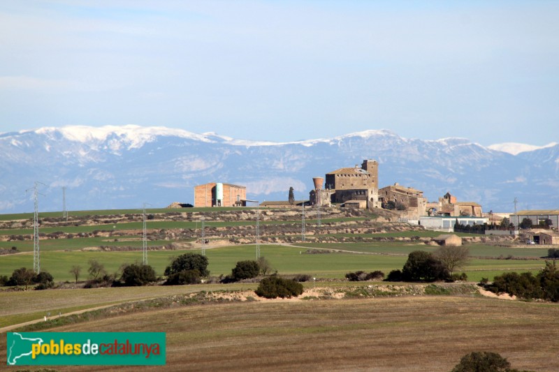 Plans de Sió - Castell de l'Aranyó