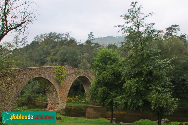 Foto de Vilanova de Sau - Pont de Malafogassa