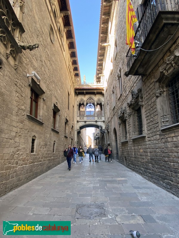 Barcelona - Pont del carrer del Bisbe