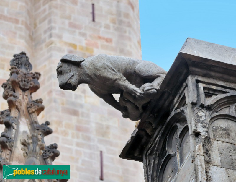 Barcelona - Catedral. Gàrgola del claustre