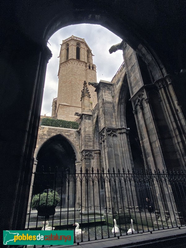 Barcelona - Claustre de la Catedral