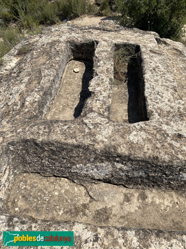 El Cogul - Necròpolis del Saladar