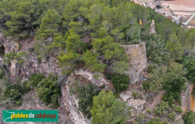 Pontils - Castell de Vallespinosa