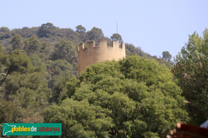 Cànoves i Samalús - Castell d'en Bori o de Samalús