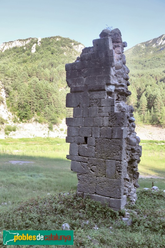 El Pont de Suert - Ruïnes del monestir de Santa Maria de Lavaix
