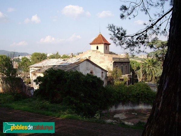 Masia de Can Mas, amb la torre darrere