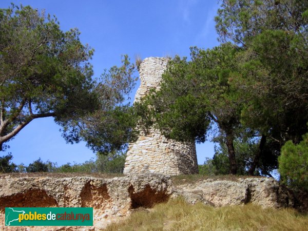 Banyeres del Penedès - Castell (Foto: Albert Esteves, 2006) Banyeres del Penedès - Castell