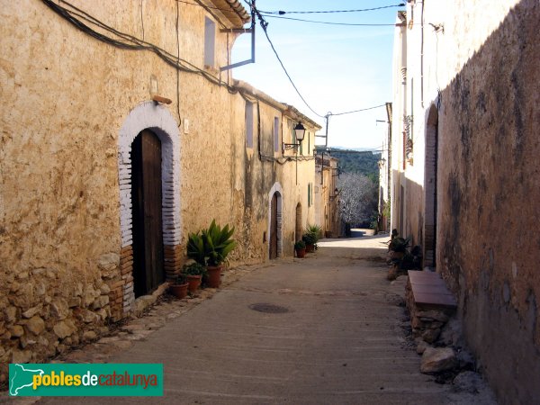 Masllorenç - Masarbonès (Foto: Albert Esteves, 2007) Masllorenç - Masarbonès