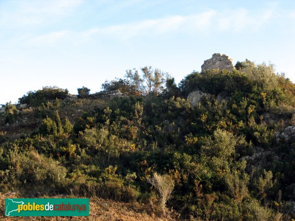 Albinyana - Restes del castell de l'Esquernosa