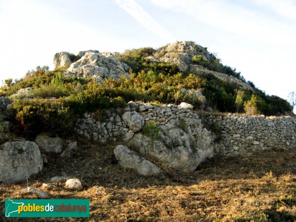 Albinyana - Restes del castell de l'Esquernosa