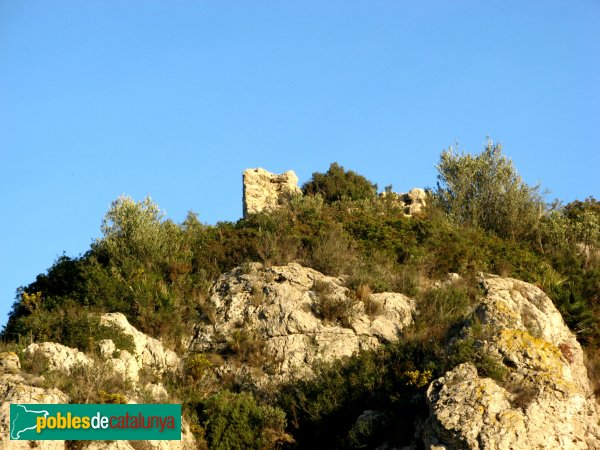 Albinyana - Restes del castell de l'Esquernosa (Foto: Albert Esteves, 2007) Albinyana - Restes del castell de l'Esquernosa