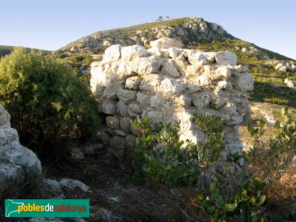 Albinyana - Restes del castell de l'Esquernosa (Foto: Albert Esteves, 2007) Albinyana - Restes del castell de l'Esquernosa