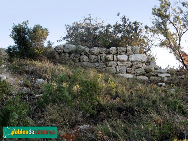 Albinyana - Restes del castell de l'Esquernosa (Foto: Albert Esteves, 2007) Albinyana - Restes del castell de l'Esquernosa