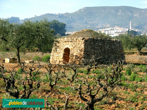 Barraca de vinya - Albinyana (Foto: Albert Esteves, 2007)