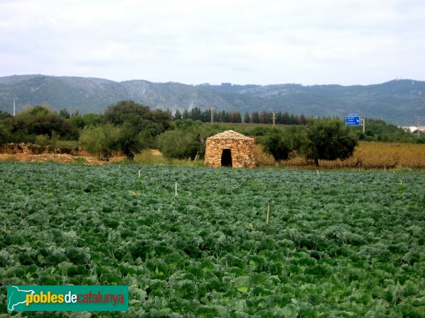 Barraca de vinya - Santa Oliva (Foto: Albert Esteves, 2006)