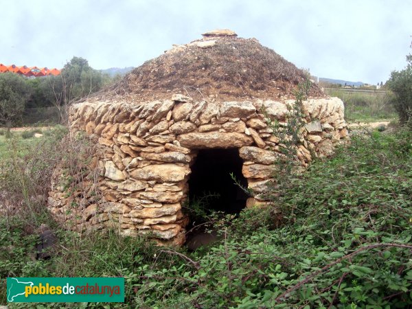 Barraca de vinya - Santa Oliva (Foto: Albert Esteves, 2006)
