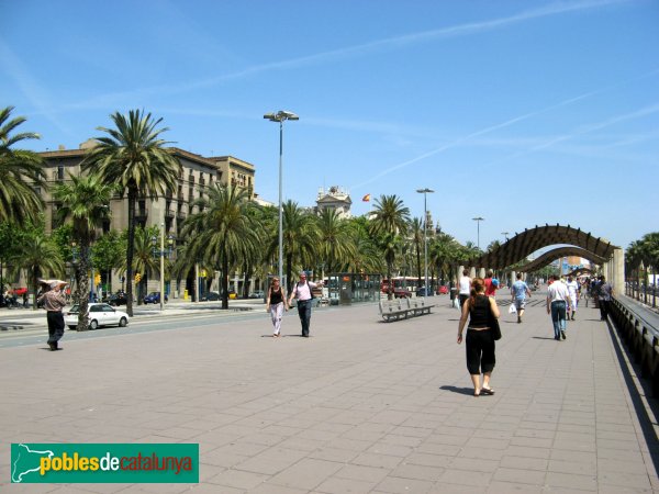 Barcelona - Passeig de Colom (Foto: Albert Esteves, 2007) Barcelona - Passeig de Colom