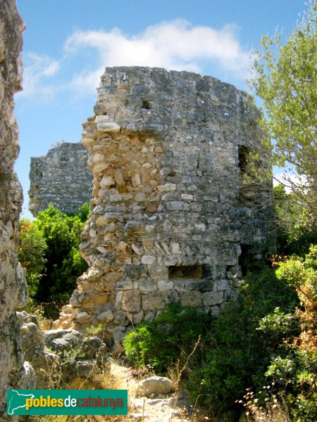 Riera de Gaià - Castell de Montoliu (Foto: Albert Esteves, 2007) Riera de Gaià - Castell de Montoliu