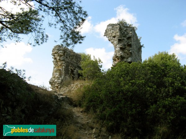 Riera de Gaià - Castell de Montoliu