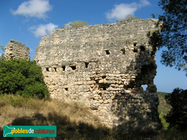 Riera de Gaià - Castell de Montoliu