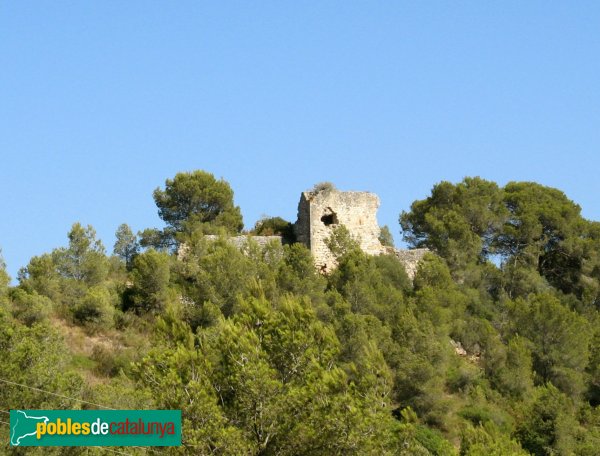 Riera de Gaià - Castell de Montoliu