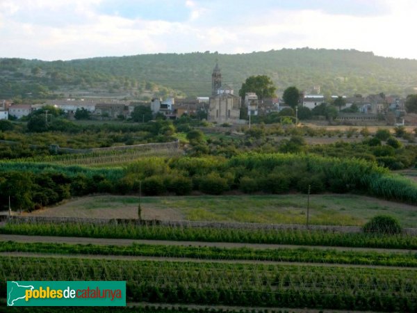 La Riera de Gaià - Santa Margarida (Foto: Albert Esteves, 2007) La Riera de Gaià - Santa Margarida