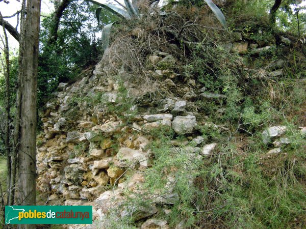 La Pobla de Montornès - Ruïnes del castell