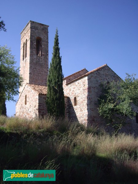 Castellar Vell (Foto: Joan Sánchez Sabé, 2007) Castellar Vell